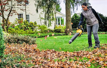 Load image into Gallery viewer, DeWalt 20V MAX* XR Brushless Cordless String Trimmer and Blower Combo Kit
