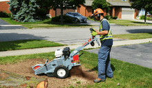 Load image into Gallery viewer, Baumalight WB44 Walk Behind Stump Grinder